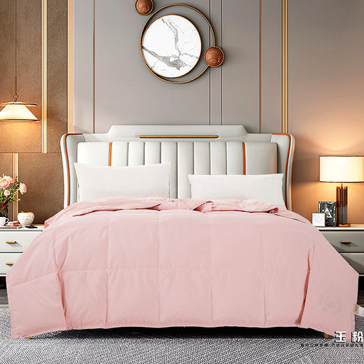 鑫缘 可水洗大朵白羽绒被 EYPA0220 商品图0