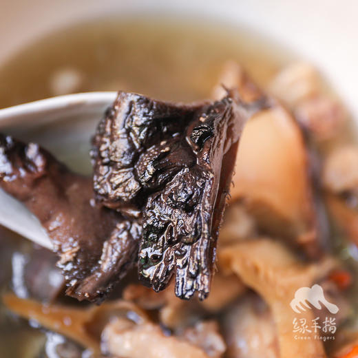 高原野生黑虎掌菌 | 合作生产 * Plateau wild black tiger palm mushroom  | Coproduction 商品图3