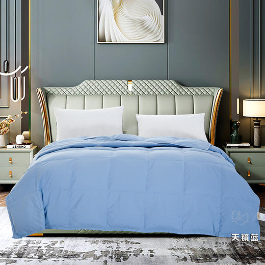 鑫缘 可水洗大朵白羽绒被 EYPA0220 商品图1