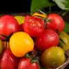 【三色小番茄 • 顺丰发货 】 酸甜可口 脆嫩多汁 新鲜应季蔬果 3斤装 商品缩略图0