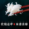 有机象牙大米4.8kg[稻香南垣] 商品缩略图7