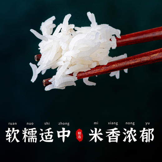 有机象牙大米4.8kg[稻香南垣] 商品图7