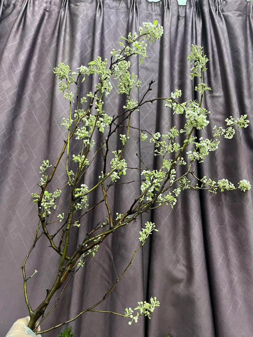 【春枝花】梨花  白色  约2枝/扎 商品图10