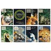 纳尼亚传奇全套盒装8册The Chronicles of Narnia 8-book Box Set 商品缩略图1