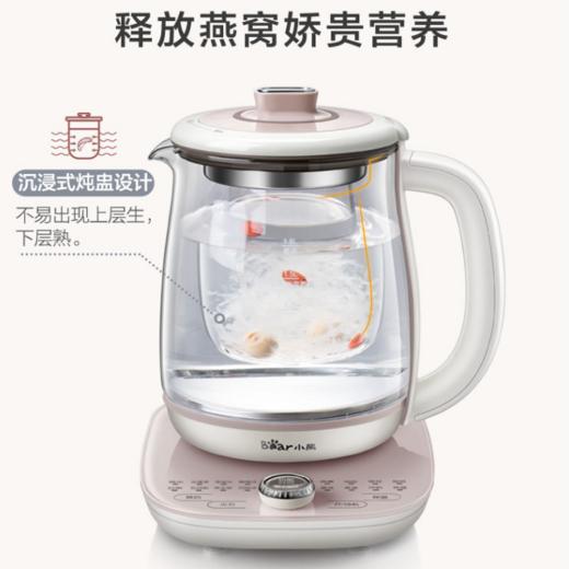 小熊（Bear）养生壶大容量家用多功能办公室煮茶器花茶壶养身隔水炖燕窝盅 商品图3