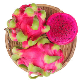 越南红心火龙果4.5-5斤 单果400g+