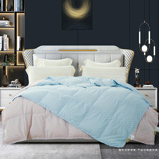 鑫缘 可水洗白鹅朵朵绒被 EYPB0220 商品图1