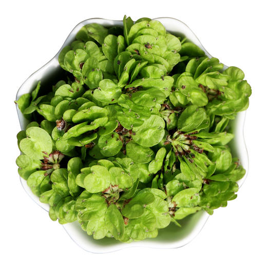 【密云】深山鲜嫩榆钱 包邮装  应季鲜食  清香微甜   吃法多样  榆钱儿 商品图6