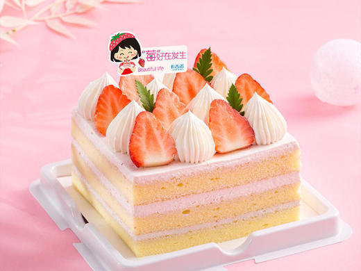 【春季出游四件套】卡吉诺明星产品大礼包套餐 商品图4