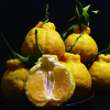 【四川好物】柠檬不知火  5斤/8斤 商品缩略图4