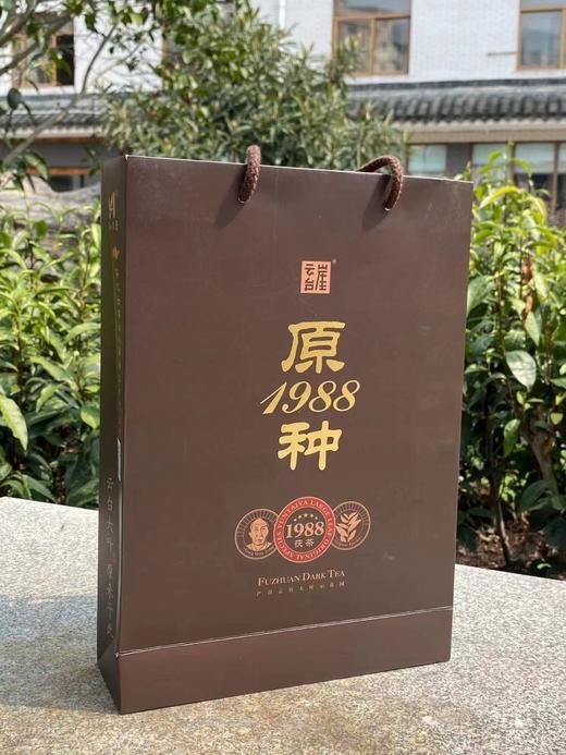 云台崖 原种1988安化黑茶1kg湖南安化正品正宗金花手筑茯砖茯茶 原始品系 天然纯粹 商品图3
