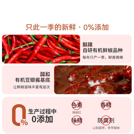 禾然有机鲜椒豆瓣酱 300g【2023年5月生产批次不再生产】 商品图2