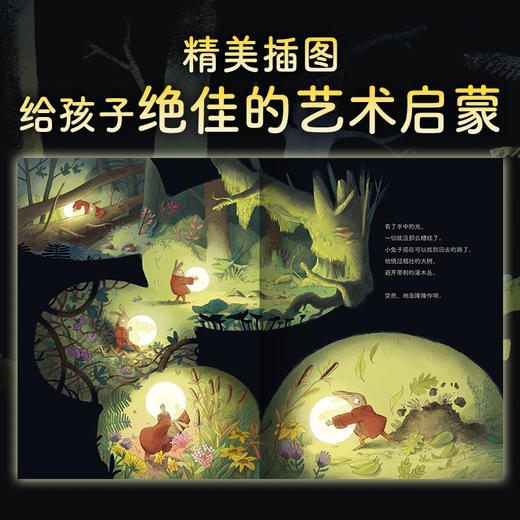 【点读版】绘本花园：森林里的光（精） 商品图4