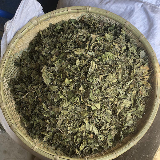 桑叶 常用规格 云南新货桑叶 商品图4