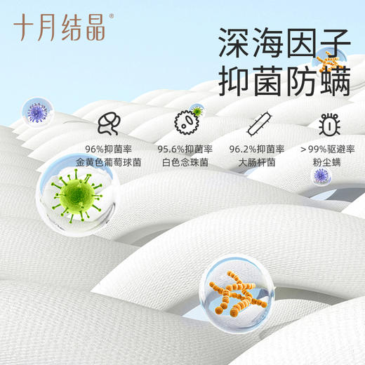 夏季可折叠凉席-成人款 商品图2