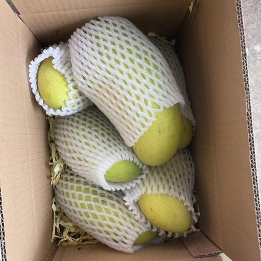 【YQ严选】广西百色 品质金煌芒 甜心芒 当季甜心芒果新鲜上市 商品图5