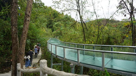 三峡九凤谷 【丛林双滑游 】 丛林滑道+高空漂流 商品图4