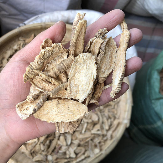 山海螺 商品图3