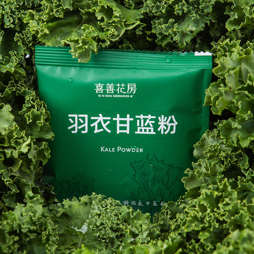 喜善花房 羽衣甘蓝粉 300g 商品图2