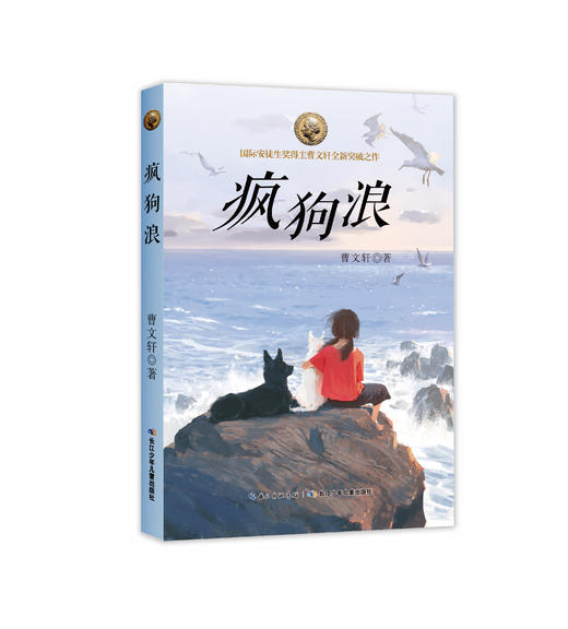 【无锡狄邦文理学校专属链接 外部购买不发货】曹文轩经典长篇小说 百年百部 曹文轩画本 青铜葵花各系列 商品图4