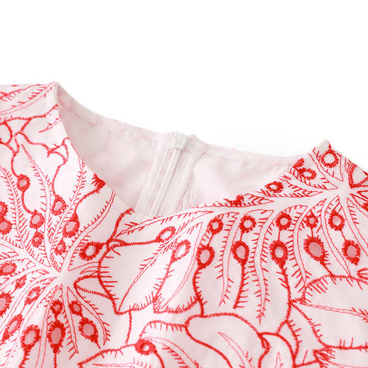 韵味十足，优雅气质重工刺绣圆领收腰显瘦A字印花连衣裙女WLZD-2304304 商品图2