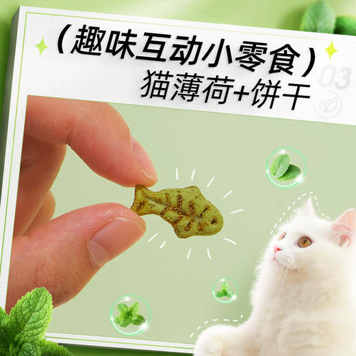 【好物推荐】猫薄荷饼干猫咪食用零食宠物磨牙营养增肥幼猫零食 商品图3