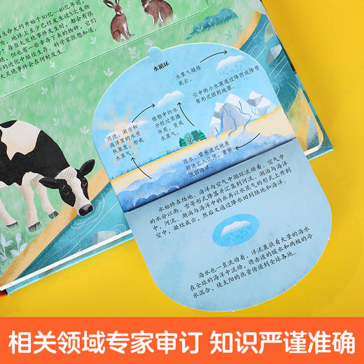 乐乐趣-揭秘翻翻书系列第十一辑 商品图5