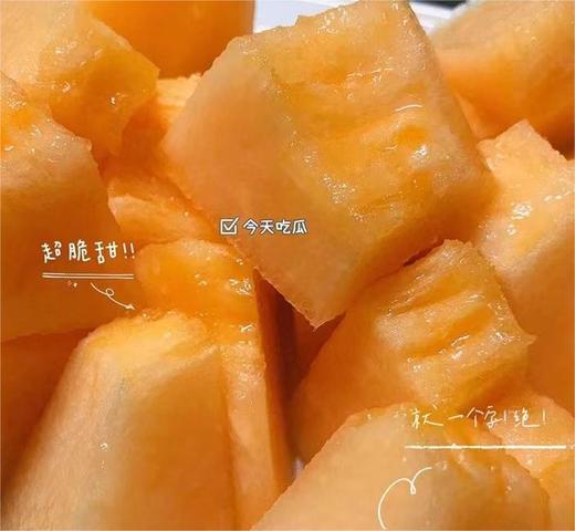 海南西州哈蜜瓜 | 水果 商品图1