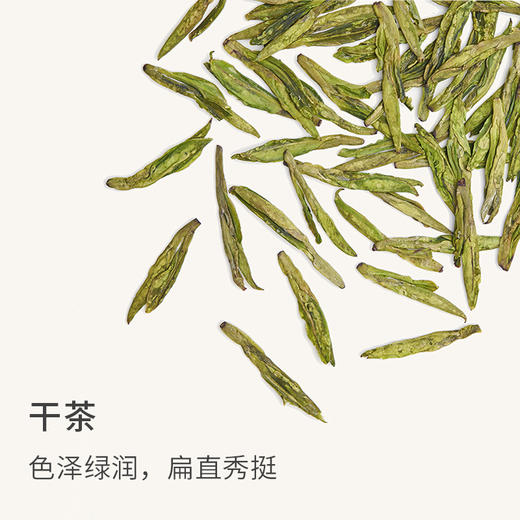 山田土 特级明前龙井春茶 钱塘高山绿茶叶50g 2023年 商品图1