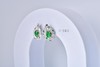 【掌上明珠】甜美红掌满绿耳钉    EZ12211081 商品缩略图1