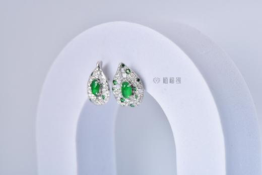 【掌上明珠】甜美红掌满绿耳钉    EZ12211081 商品图1