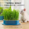 【好物推荐】猫咪零食猫薄荷种植水培盒猫草盆水培 商品缩略图0