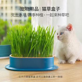 【好物推荐】猫咪零食猫薄荷种植水培盒猫草盆水培