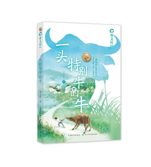 【无锡狄邦文理学校专属链接 外部购买不发货】曹文轩经典长篇小说 百年百部 曹文轩画本 青铜葵花各系列 商品图2