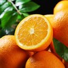 湖北秭归东方上橙枳砧蜜橙 家庭装/礼盒装 新鲜水果橙子 商品缩略图0