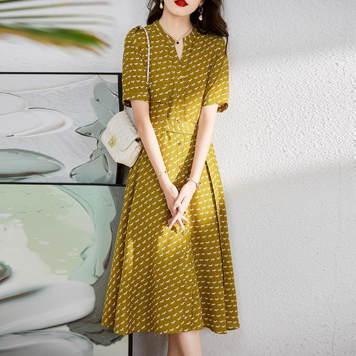 气质修身，V领印花束腰显瘦中长款裙子单排扣连衣裙HR-WL6159 商品图1