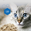 谷登猫咪专用复合维生素片成幼猫护肤美毛补充营养维生素b200片 商品缩略图3