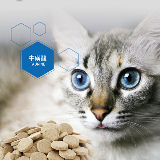 谷登猫咪专用复合维生素片成幼猫护肤美毛补充营养维生素b200片 商品图3
