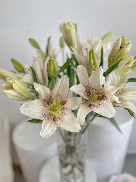 【周四秒杀】赞美诗百合3枝39.8元 商品图1