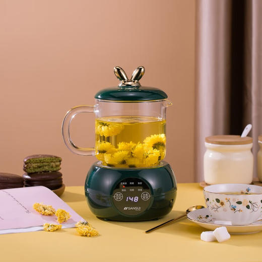 山水（SANSUI）电炖养生杯KT-920 （电脑款） 绿色 商品图1