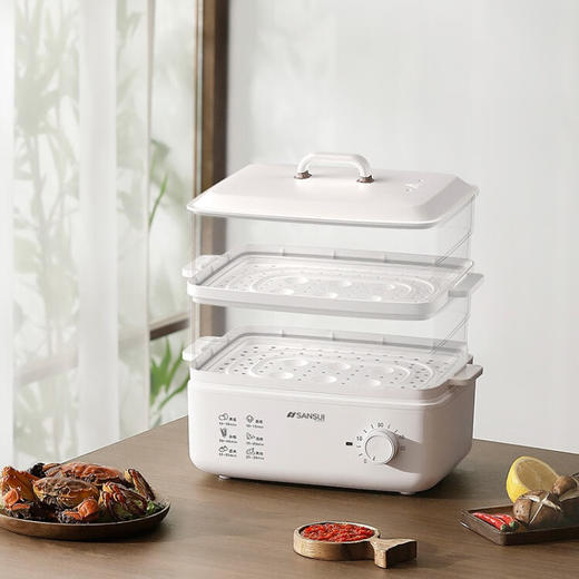 山水（SANSUI） 多功能双层电蒸锅  ZG10 白色 商品图4