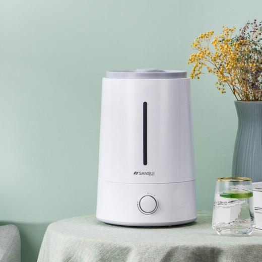 山水（SANSUI）上加水带过滤加湿器 SJS-Q15 白色 商品图6