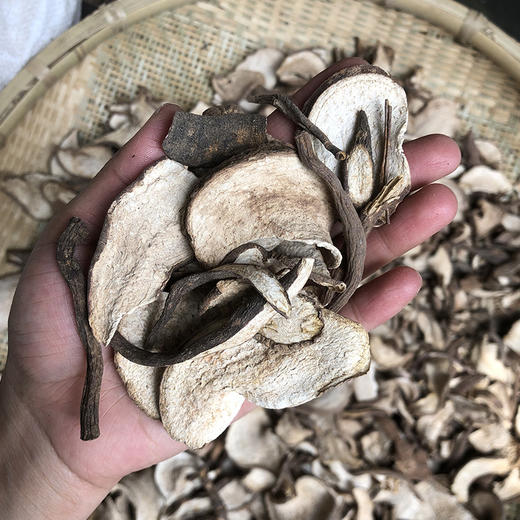 山土瓜   土瓜根 商品图2