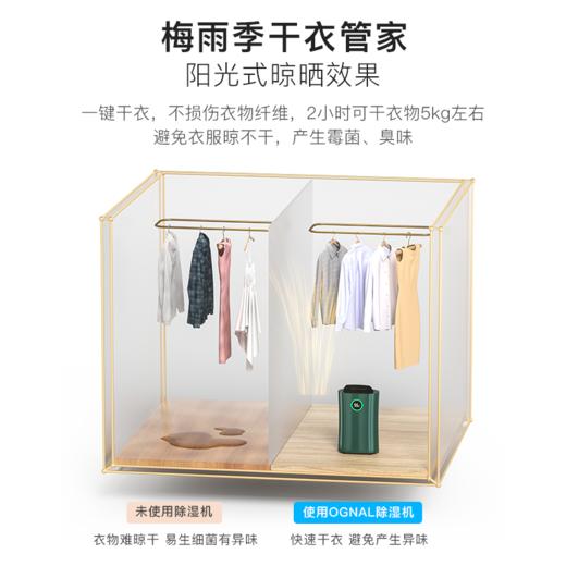 OGNAL英国奥戈那除湿机家用空气净化一体抽湿机静音别墅室内吸湿回南天防潮梅雨季干燥机祛湿大面积神器  墨绿色/白色 商品图6
