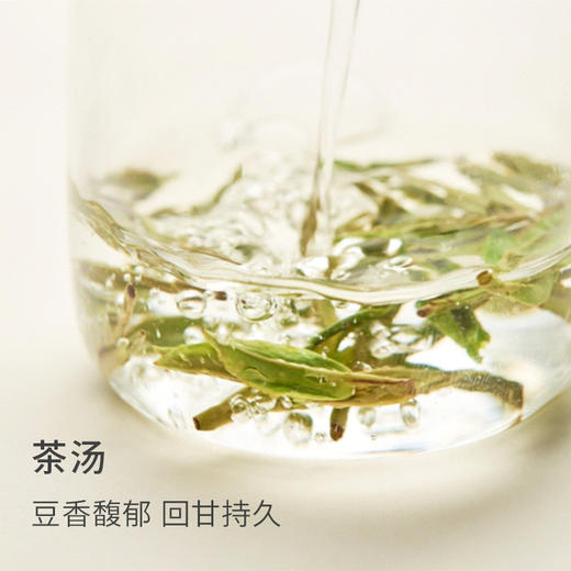 山田土 特级明前龙井春茶 钱塘高山绿茶叶50g 2023年 商品图2