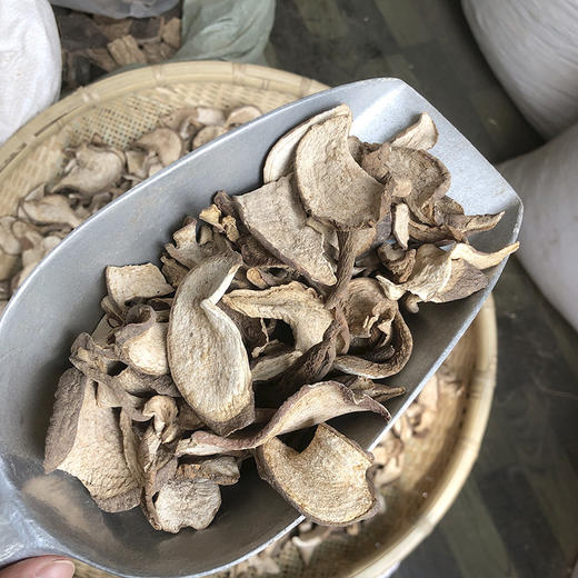 山土瓜   土瓜根 商品图4