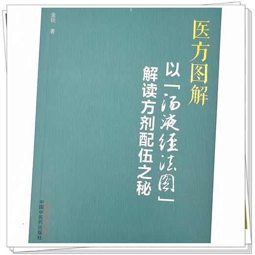 医方图解：以“汤液经法图”解读方剂配伍之秘  金锐 著 中国中医药出版社 方剂学研究伤寒论书籍 商品图4