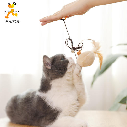 【好物推荐】逗猫棒羽毛铃铛仿真老鼠幼猫斗猫棒组合 商品图1