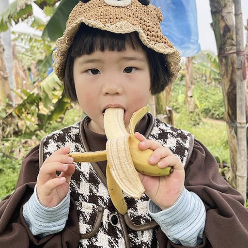 天宝香蕉🍌【国家地理标志产品】，2000多年种植历史   463项检测无农残  皮薄无芯  香软滑糯 吃一口就会爱上