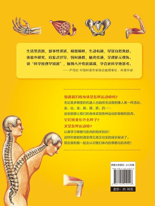 科学原理早知道--结实的骨骼与肌肉 商品图1